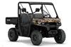 Can-Am Defender DPS HD10 2017